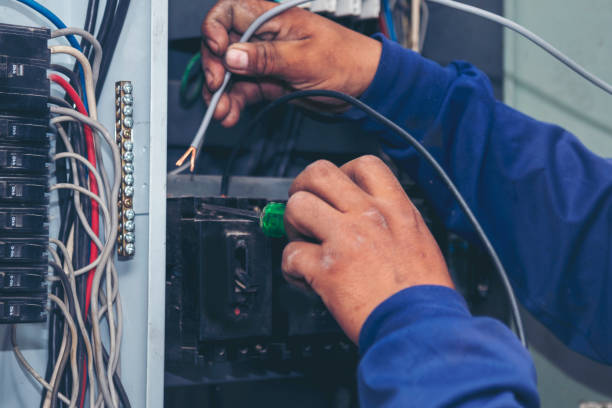 Best Ceiling Fan Installation Electrician  in Fisher, IL